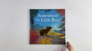 Somewhere for Little Bear