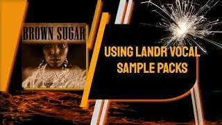 Hooked On LANDR - Best Vocal Samples & Loops