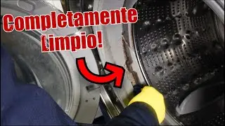 Cómo eliminar el moho del sello de la puerta de una lavadora
