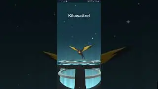 Evolving Wattrel for the first time