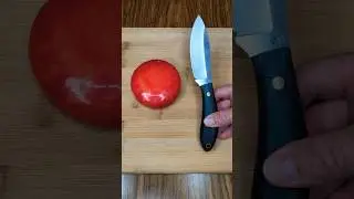 LT Wright Large Northern Hunter VS Cheese.