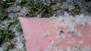 Pillows destruction