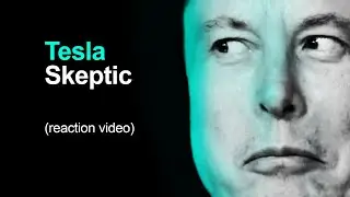 Tesla Stock - Skeptic's Bear Case (reaction video)