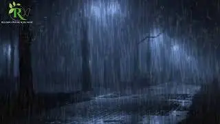 Rain Falling Softly 🌧 Calm Ambience