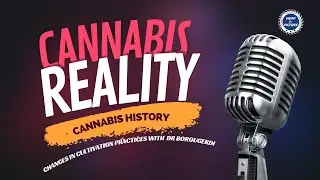 Cannabis Reality: (History, part 3) Changes in cultivation practices