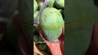 What kind of fruit is this?