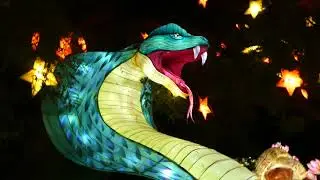 LA Zoo Zoo Lights Animals Holidays Los Angeles California USA January 8, 2026