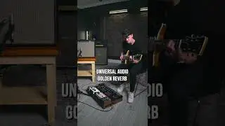 Some of my FAVORITE Clean Tones (Eventide H90 & UA Golden) #vintagefender #reverb #chorus