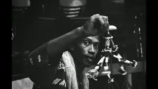 Vinyl Update 115 (Don Cherry, The New Jazz Orchestra, Michael Naura)