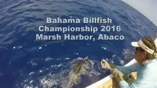 Captain Fraser Simpson & Paul Rossberg head to Bahama Billfish Championship 2016 | fly and fish tv