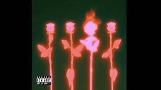 But1erfly X Aura - SOLID