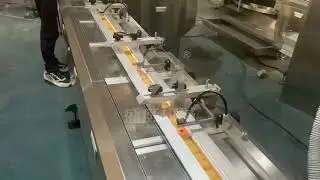 Automatic Turntable Feeding Pillow Packing machine Line&mdash;Shengwei SW-300A