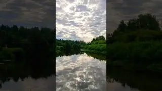 04:30 утра, хороший клёв, прекрасная погода. #fishing #деревня #shorts