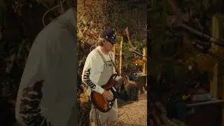 The Boston Drama (Live at The Cozy Cove) - Typecast