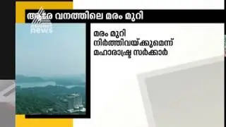 Mumbai Aarey forest case: Don't cut anymore trees, says Supreme court