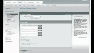 Display Videos & Images on Your Website