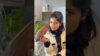 മുള്ളൻ പന്നി ❌മുള്ളൻ മീൻ🐟 KL CANADA | Canada Malayalam Vlog | Malayalies in canada |CANADA GROCERIES