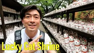 Lucky Cat Temple / Izakaya in Tokyo, Japan