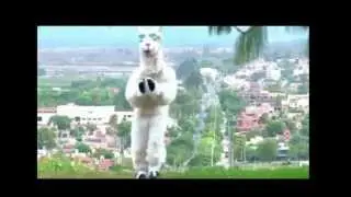 EL BAILE DE LA LLAMA ( ASI SE BAILA )