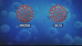 New U.S. travel restrictions amid omicron variant, delta variant still driving winter surge