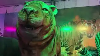 #animal looks like real  in carnival