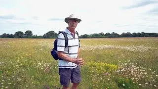 Rushbeds Wood & Meadows under threat - Brill, Buckinghamshire, UK