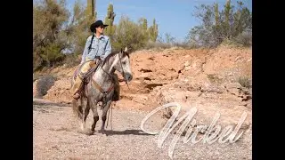 Rancho Rio Horse Sale 2024 Hip #9