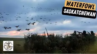 Waterfowl Hunt at the Top of the Flyway
