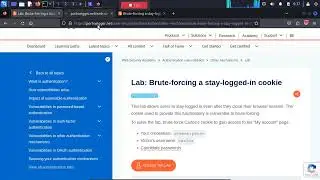 2.9 Lab: Brute-forcing a stay-logged-in cookie by Karthikeyan Nagaraj |&nbsp;2024 | #cybersecurity