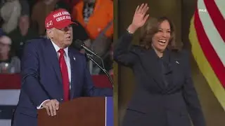 Harris touts campaign transparency after releasing summary of medical records