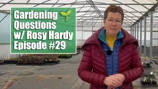 Native UK Plant Options? Propagate Geraniums via Seed or Cuttings? Gardening Questions w/ Rosy Hardy