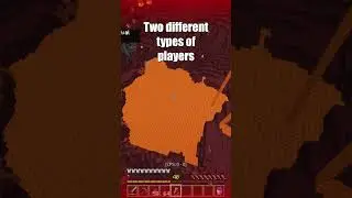 When 2 types of players play Minecraft  #minecraft #funny