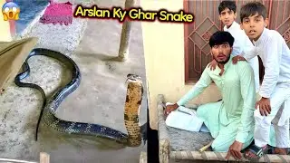 Arslan Ky Ghar Sy Snake 🐍 Nikal Aya 😨
