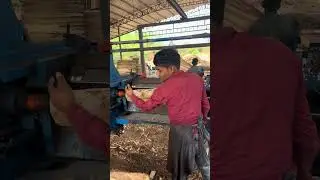 Wood debarking working big machine part 102 #viral #woodscraft #carpentry #woodworking
