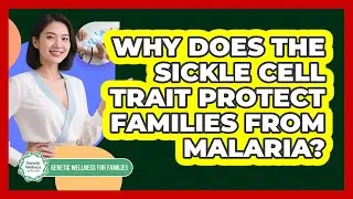 Why Does The Sickle Cell Trait Protect Families From Malaria? - Genetic Wellness for Families