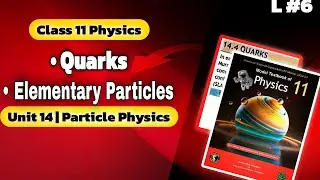 Quarks | Class 11  Physics NBF | Chapter 14: Particle Physics | Class 12 Physics NBF