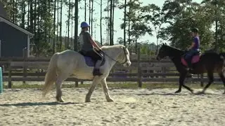 Nassau County residents fight development threatening therapeutic horse ranch