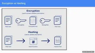 Encrypting data vs hashing: Your cyber protection guide