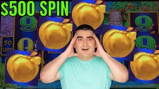5 SCATTERS HIT on MILLION DOLLAR DRAGON LINK 😱🔥