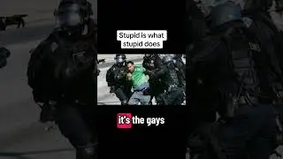 ￼ America, the stupid