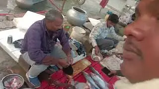 Benipur Machhali Market #benipur #minivlog 