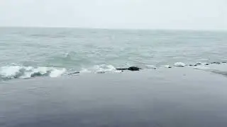 DJ Climate Crisis - Oil-Spill Risk Analysis