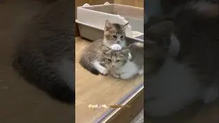 Omg!! so cute😍😍