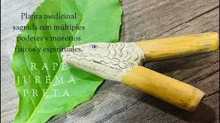 Medicina Rap&eacute; Jurema Preta