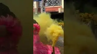Colour Smoke Entry || Sk Stage Sfx ||
