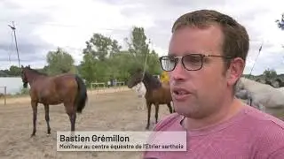 À Marçon, plus de 300 poneys et enfants pour une grande randonnée
