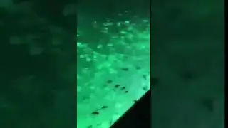 Big Daddy Fishing Light - Large Green Portable Underwater Fishing Lights