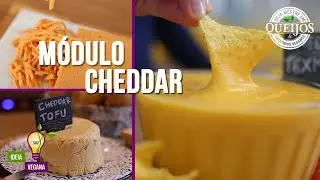 CHEDDAR CHEESE MODULE | MASTER COURSE IN VEGAN CHEESES AND DAIRY PRODUCTS