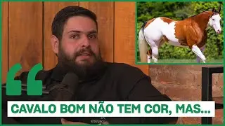A COR DA PELAGEM DO CAVALO IMPORTA? #cortes  #agro