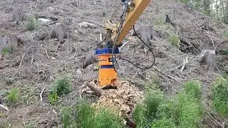 Dipperfox demo 160621